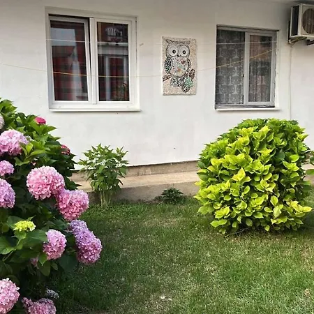 Apartment Aleksandra Bar Exterior photo